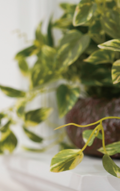 上級牧会神学科