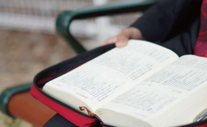 一年研修コース